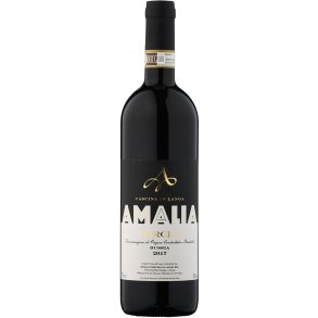 Amalia  Barolo Bussia 2017 