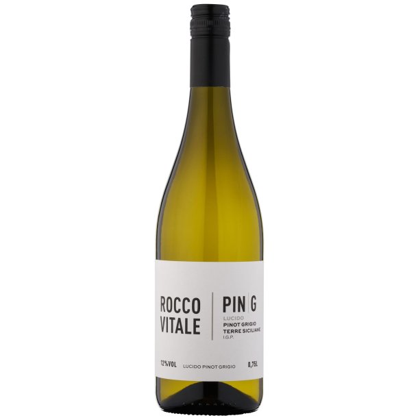 Rocco Vitale  Pin G 2024 